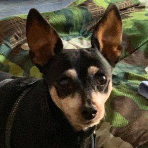 Meet your Posher, Robert